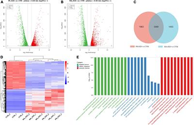 Transcriptome and metabolome analyses reveal transcription factors regulating ganoderic acid biosynthesis in Ganoderma lucidum development